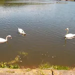 ホテル Le Barrage *