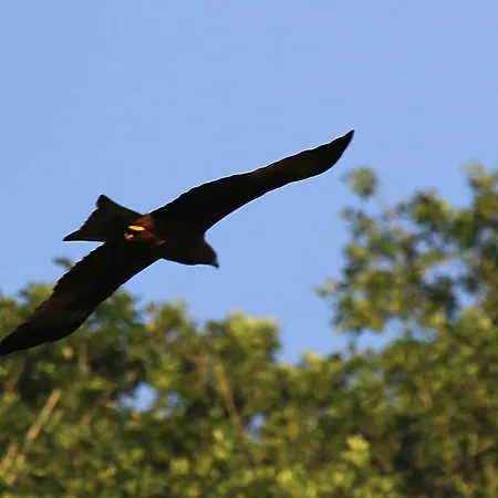 Hotel Le Barrage Mauzac-et-Grand-Castang