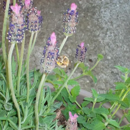 Le Barrage Mauzac-et-Grand-Castang