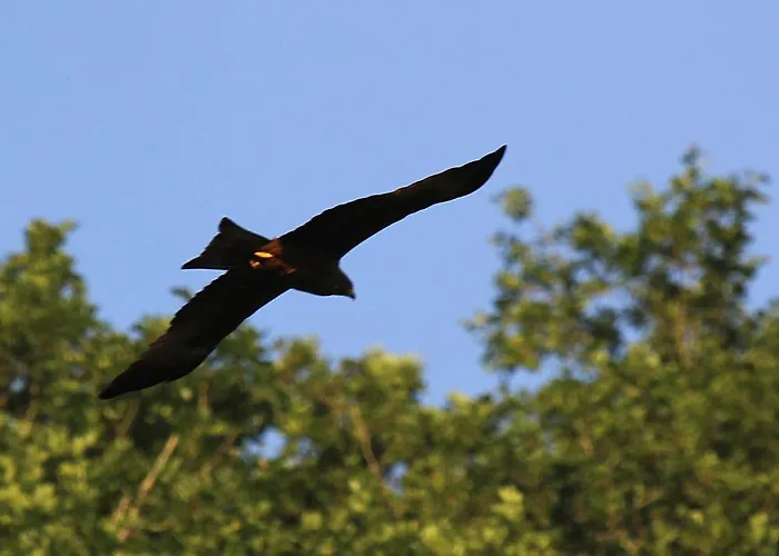 Hotel Le Barrage Mauzac-et-Grand-Castang