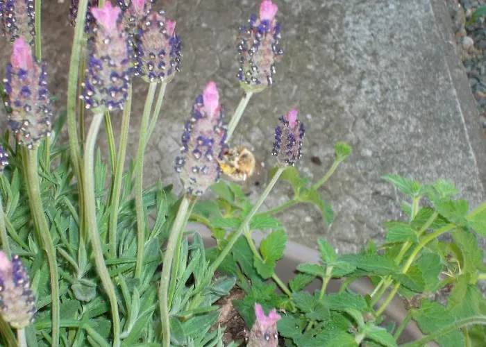 Le Barrage Mauzac-et-Grand-Castang